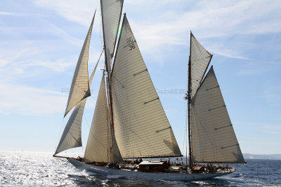 878 Voiles de Saint-Tropez 2012 - IMG_1146_DxO Pbase.jpg