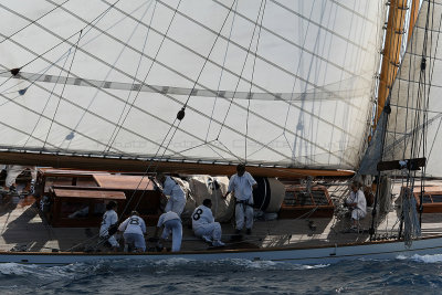 890 Voiles de Saint-Tropez 2012 - MK3_6431_DxO Pbase.jpg