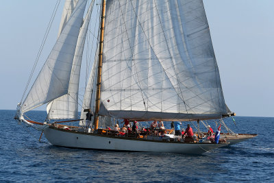 2139 Voiles de Saint-Tropez 2012 - MK3_7191_DxO Pbase.jpg