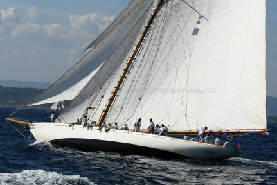 905 Voiles de Saint-Tropez 2012 - MK3_6446_DxO Pbase.jpg