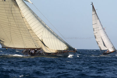 958 Voiles de Saint-Tropez 2012 - MK3_6497_DxO Pbase.jpg