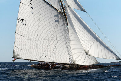 964 Voiles de Saint-Tropez 2012 - MK3_6503_DxO Pbase.jpg