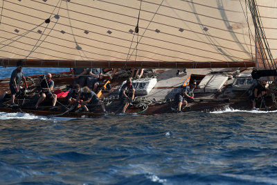 976 Voiles de Saint-Tropez 2012 - MK3_6515_DxO Pbase.jpg