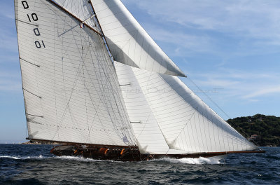 991 Voiles de Saint-Tropez 2012 - IMG_1154_DxO Pbase.jpg