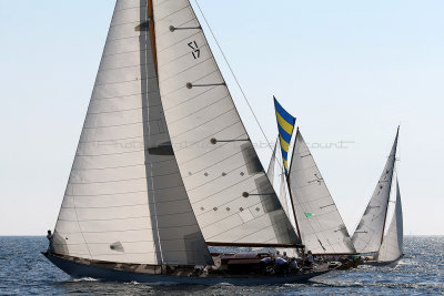 2312 Voiles de Saint-Tropez 2012 - MK3_7343_DxO Pbase.jpg