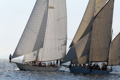 2321 Voiles de Saint-Tropez 2012 - MK3_7352_DxO Pbase.jpg