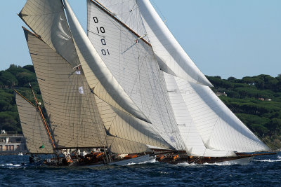 1019 Voiles de Saint-Tropez 2012 - MK3_6549_DxO Pbase.jpg