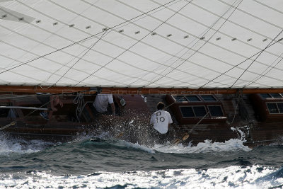 1033 Voiles de Saint-Tropez 2012 - MK3_6561_DxO Pbase.jpg