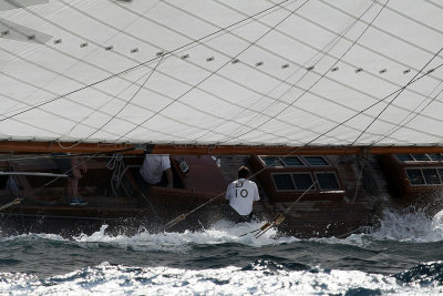 1034 Voiles de Saint-Tropez 2012 - MK3_6562_DxO Pbase.jpg