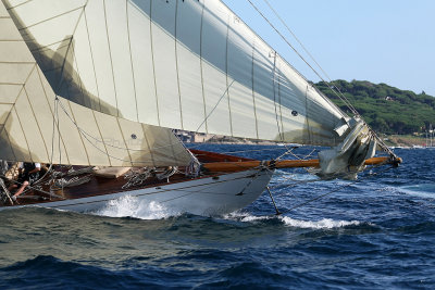 1066 Voiles de Saint-Tropez 2012 - MK3_6594_DxO Pbase.jpg