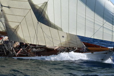 1069 Voiles de Saint-Tropez 2012 - MK3_6597_DxO Pbase.jpg