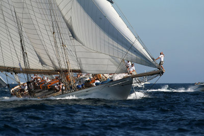 1074 Voiles de Saint-Tropez 2012 - MK3_6602_DxO Pbase.jpg