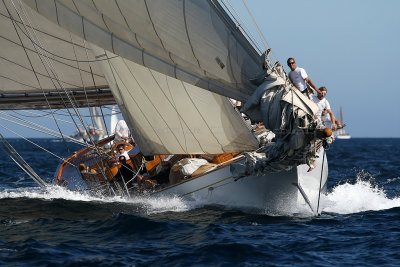 1091 Voiles de Saint-Tropez 2012 - MK3_6616_DxO Pbase.jpg