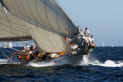 1092 Voiles de Saint-Tropez 2012 - MK3_6617_DxO Pbase.jpg