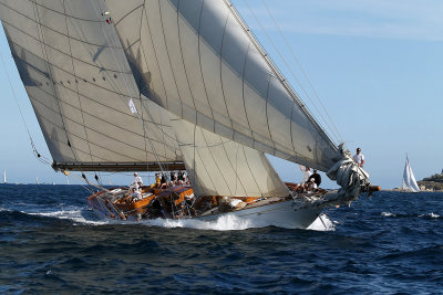 1096 Voiles de Saint-Tropez 2012 - MK3_6621_DxO Pbase.jpg