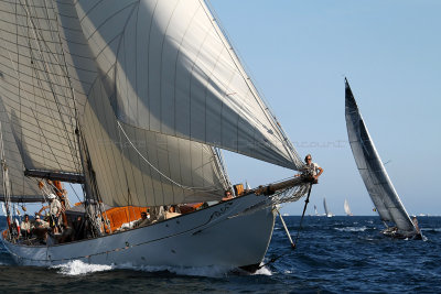 1101 Voiles de Saint-Tropez 2012 - MK3_6625_DxO Pbase.jpg