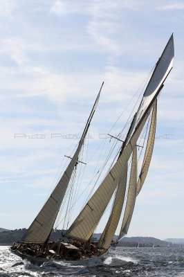 1107 Voiles de Saint-Tropez 2012 - IMG_1183_DxO Pbase.jpg