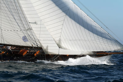 995 Voiles de Saint-Tropez 2012 - MK3_6531_DxO Pbase.jpg