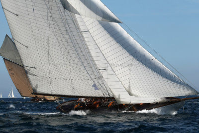 997 Voiles de Saint-Tropez 2012 - MK3_6533_DxO Pbase.jpg