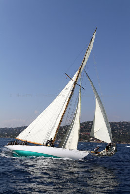 2534 Voiles de Saint-Tropez 2012 - IMG_1694_DxO Pbase.jpg