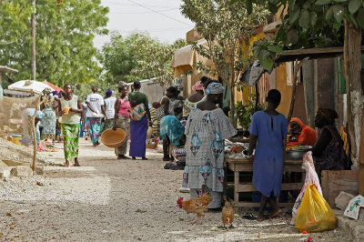 Sénégal - Découverte de l'île de Fadiouth et du grand baobab sacré