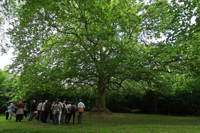 Visite du parc du chteau de Courances dans l'Essonne