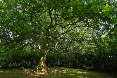 Visite du parc du chteau de Courances dans l'Essonne