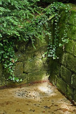 Visite du parc du chteau de Courances dans lEssonne