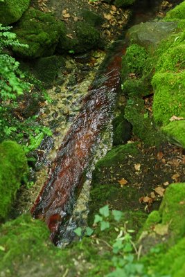 Visite du parc du chteau de Courances dans l'Essonne