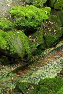 Visite du parc du chteau de Courances dans l'Essonne