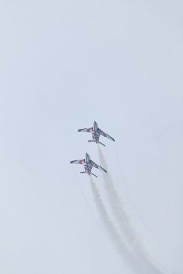 Meeting arien de la Fert Alais 2008 - 2 alphajets de la patrouille ASAS de Portugal