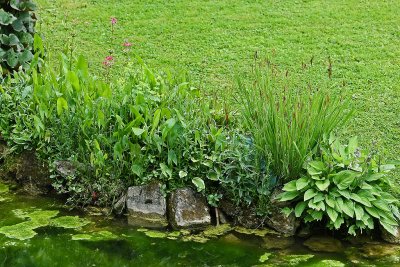 Visite du parc du chteau de Courances dans l'Essonne