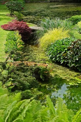 Visite du parc du chteau de Courances dans l'Essonne