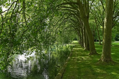 Visite du parc du chteau de Courances dans l'Essonne