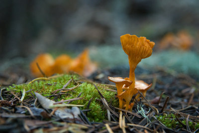 _DSC1589_1280.jpg