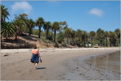 Santa Barbara Coast, August 2009