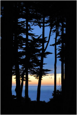 San Francisco near Legion of Honor Museum, Jan 2nd 2011