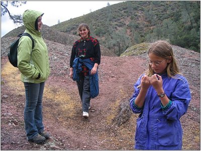 Pinnacles, May 2008