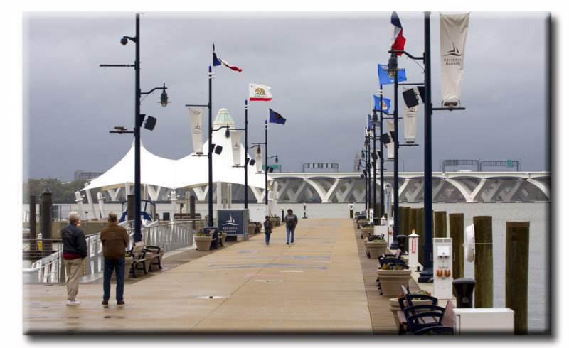 DC_Harbor_0749.jpg