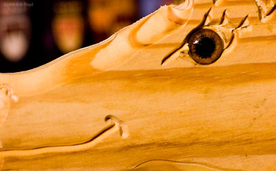 Gift Horse