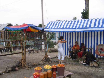 IMG_6007.jpg