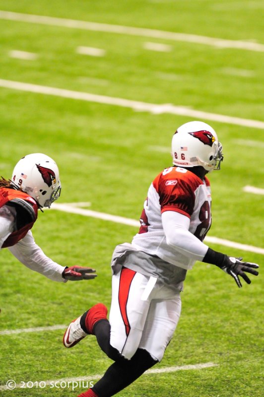 Arizona Cardinals