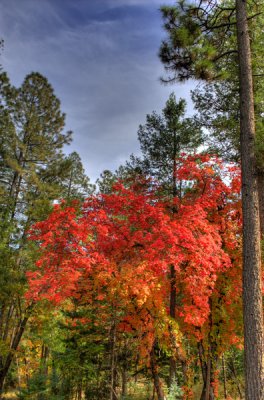 Horton Creek
