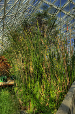 Biosphere II