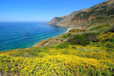 Central California Coast