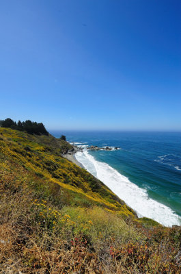 Central California Coast