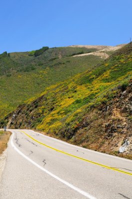 Central California Coast