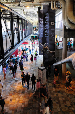 Monterey Bay Aquarium