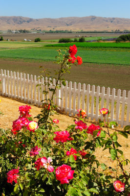 Mission San Juan Bautista