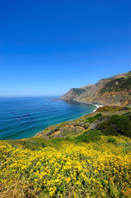 Central California Coast